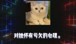 吃瓜娱乐圈八卦图片,揭秘明星幕后八卦瞬间