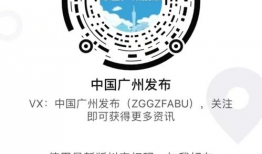 91T 直播,揭秘热门直播平台的魅力与挑战