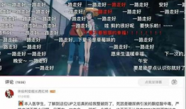 b站娱乐圈吃瓜,b站吃瓜指南，揭秘明星幕后故事